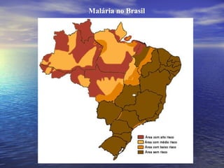 Malária no Brasil   