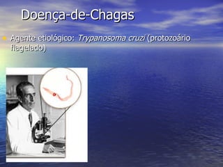 Doença-de-Chagas Agente etiológico:  Trypanosoma cruzi  (protozoário flagelado) 