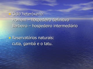 Ciclo heteróxeno:  Homem – hospedeiro definitivo Barbeiro – hospedeiro intermediário Reservatórios naturais: cutia, gambá e o tatu. 
