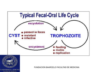 FUNDACION BAARCELO FACULTAD DE MEDICINA
 