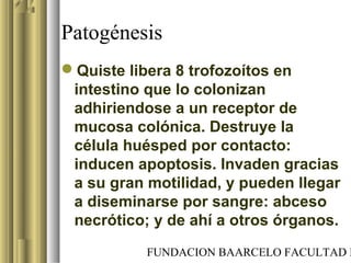FUNDACION BAARCELO FACULTAD D
Patogénesis
Quiste libera 8 trofozoítos en
intestino que lo colonizan
adhiriendose a un receptor de
mucosa colónica. Destruye la
célula huésped por contacto:
inducen apoptosis. Invaden gracias
a su gran motilidad, y pueden llegar
a diseminarse por sangre: abceso
necrótico; y de ahí a otros órganos.
 