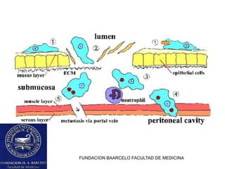 FUNDACION BAARCELO FACULTAD DE MEDICINA
 