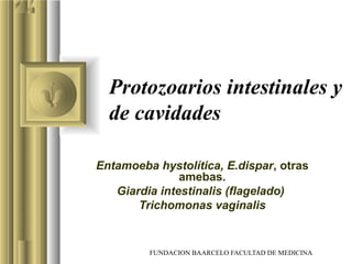 FUNDACION BAARCELO FACULTAD DE MEDICINA
Protozoarios intestinales y
de cavidades
Entamoeba hystolítica, E.dispar, otras
amebas.
Giardia intestinalis (flagelado)
Trichomonas vaginalis
 