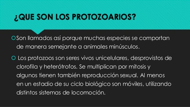 Protozoarios y sus generalidades
