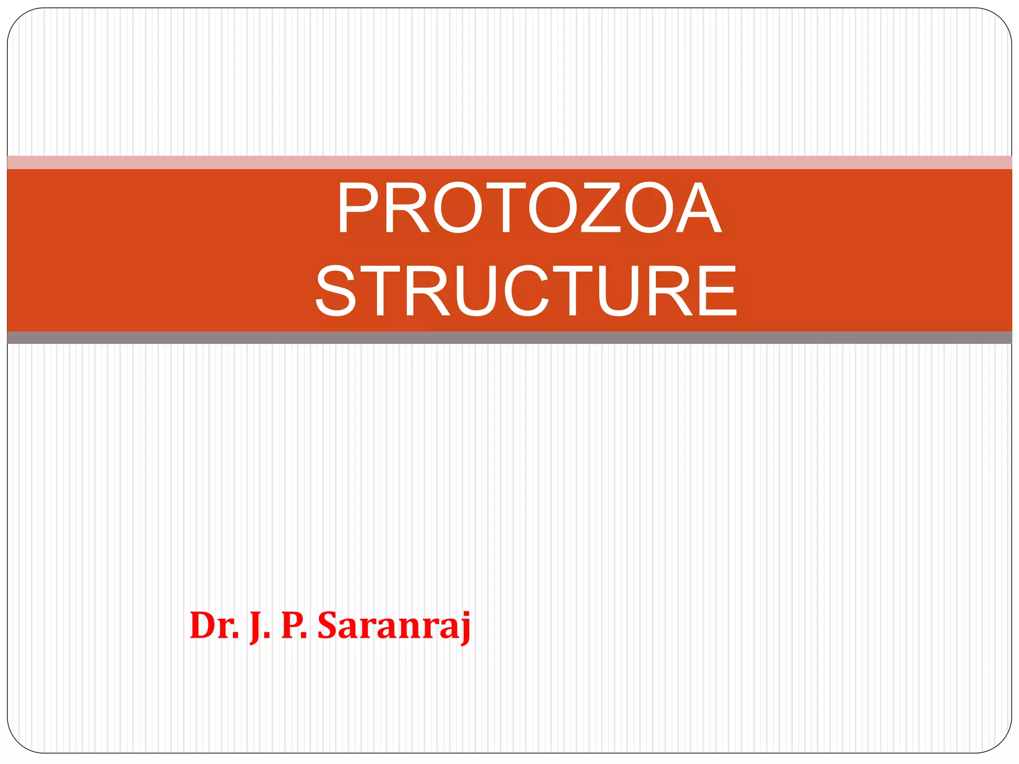 Dr. J. P. Saranraj
PROTOZOA
STRUCTURE