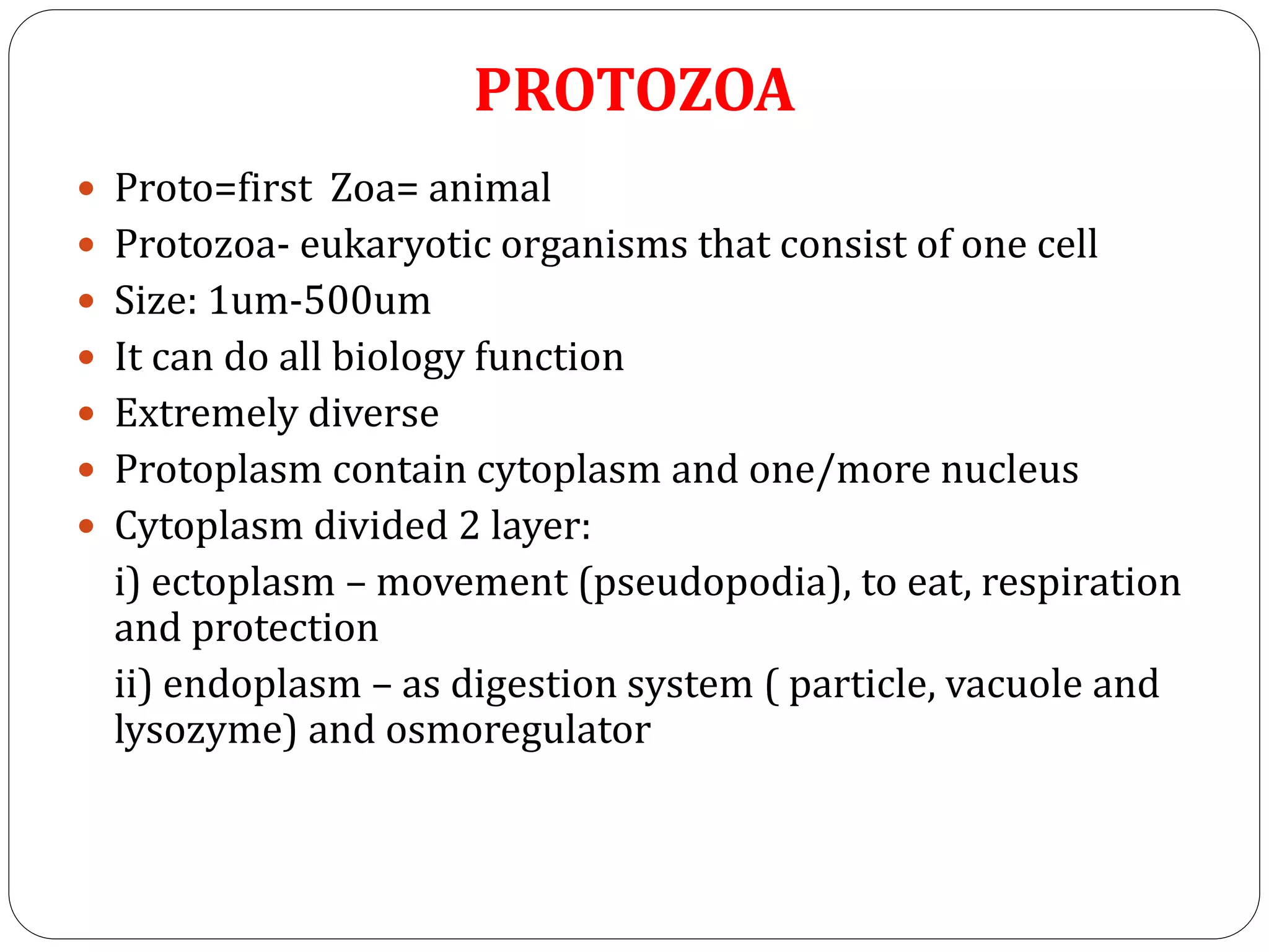 PROTOZOA
Proto=first Zoa= animal
Protozoa- eukaryotic organisms that consist of one cell
Size: 1um-500um
It can do all biology function
Extremely diverse
Protoplasm contain cytoplasm and one/more nucleus
Cytoplasm divided 2 layer:
i) ectoplasm – movement (pseudopodia), to eat, respiration
and protection
ii) endoplasm – as digestion system ( particle, vacuole and
lysozyme) and osmoregulator