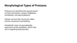 Protozoa Their Morphology Structure And Methods Of Study.pptx