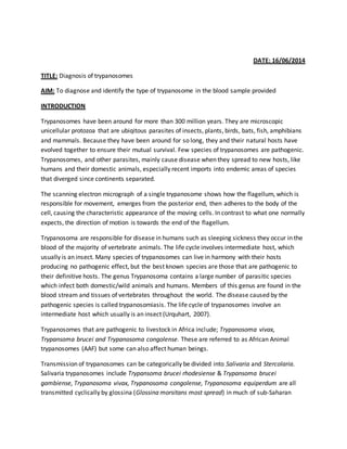 DATE: 16/06/2014 
TITLE: Diagnosis of trypanosomes 
AIM: To diagnose and identify the type of trypanosome in the blood sample provided 
INTRODUCTION 
Trypanosomes have been around for more than 300 million years. They are microscopic 
unicellular protozoa that are ubiqitous parasites of insects, plants, birds, bats, fish, amphibians 
and mammals. Because they have been around for so long, they and their natural hosts have 
evolved together to ensure their mutual survival. Few species of trypanosomes are pathogenic. 
Trypanosomes, and other parasites, mainly cause disease when they spread to new hosts, like 
humans and their domestic animals, especially recent imports into endemic areas of species 
that diverged since continents separated. 
The scanning electron micrograph of a single trypanosome shows how the flagellum, which is 
responsible for movement, emerges from the posterior end, then adheres to the body of the 
cell, causing the characteristic appearance of the moving cells. In contrast to what one normally 
expects, the direction of motion is towards the end of the flagellum. 
Trypanosoma are responsible for disease in humans such as sleeping sickness they occur in the 
blood of the majority of vertebrate animals. The life cycle involves intermediate host, which 
usually is an insect. Many species of trypanosomes can live in harmony with their hosts 
producing no pathogenic effect, but the best known species are those that are pathogenic to 
their definitive hosts. The genus Trypanosoma contains a large number of parasitic species 
which infect both domestic/wild animals and humans. Members of this genus are found in the 
blood stream and tissues of vertebrates throughout the world. The disease caused by the 
pathogenic species is called trypanosomiasis. The life cycle of trypanosomes involve an 
intermediate host which usually is an insect (Urquhart, 2007). 
Trypanosomes that are pathogenic to livestock in Africa include; Trypanosoma vivax, 
Trypansoma brucei and Trypanosoma congolense. These are referred to as African Animal 
trypanosomes (AAF) but some can also affect human beings. 
Transmission of trypanosomes can be categorically be divided into Salivaria and Stercolaria. 
Salivaria trypanosomes include Trypansoma brucei rhodesiense & Trypansoma brucei 
gambiense, Trypanosoma vivax, Trypanosoma congolense, Trypanosoma equiperdum are all 
transmitted cyclically by glossina (Glossina morsitans most spread) in much of sub-Saharan 
 