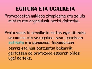 EGITURA ETA UGALKETA Protozooetan nukleoa zitoplasma eta zelula mintza eta organuluak berizi daitezke. Protozooak bi ernalketa motak egin ditzake sexuduna eta sexugabea, sexu gabekoan  zatiketa  eta gemazioa. Sexudunean berriz eta hau batzuetan bakarrik gertatzen da protozooa esporen bidez ugal daiteke.  
