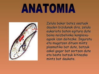 ANATOMIA Zelula bakar batez osatuak dauden bizidunak dira, zelula eukarioto baten egitura dute baina noizbehinka konplexu- agoak izan daitezke. Inguratu eta mugatzen dituen mintz plasmatiko bat dute, batzuk oskol gogor bat sortzen dute eta beste batzuk kitinazko mintz bat daukate. 