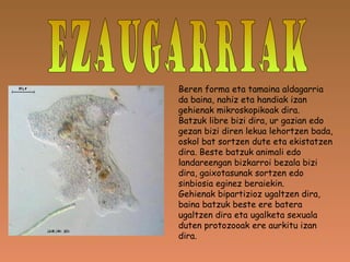 EZAUGARRIAK Beren forma eta tamaina aldagarria da baina, nahiz eta handiak izan gehienak mikroskopikoak dira. Batzuk libre bizi dira, ur gazian edo gezan bizi diren lekua lehortzen bada, oskol bat sortzen dute eta ekistatzen dira. Beste batzuk animali edo landareengan bizkarroi bezala bizi dira, gaixotasunak sortzen edo sinbiosia eginez beraiekin.  Gehienak bipartizioz ugaltzen dira, baina batzuk beste ere batera ugaltzen dira eta ugalketa sexuala duten protozooak ere aurkitu izan dira. 
