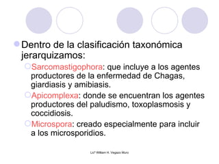  Dentro de la clasificación taxonómica
  jerarquizamos:
  Sarcomastigophora: que incluye a los agentes
   productores de la enfermedad de Chagas,
   giardiasis y amibiasis.
  Apicomplexa: donde se encuentran los agentes
   productores del paludismo, toxoplasmosis y
   coccidiosis.
  Microspora: creado especialmente para incluir
   a los microsporidios.

                  Licº William H. Vegazo Muro
 