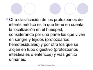  Otra clasificación de los protozoarios de
  interés médico es la que tiene en cuenta
  la localización en el huésped,
  considerando por una parte los que viven
  en sangre y tejidos (protozoarios
  hemotesiduales) y por otra los que se
  alojan en tubo digestivo (protozoarios
  intestinales o entéricos) y vías génito
  urinarias.
                 Licº William H. Vegazo Muro
 