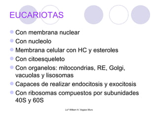 EUCARIOTAS
 Con membrana nuclear
 Con nucleolo
 Membrana celular con HC y esteroles
 Con citoesqueleto
 Con organelos: mitocondrias, RE, Golgi,
  vacuolas y lisosomas
 Capaces de realizar endocitosis y exocitosis
 Con ribosomas compuestos por subunidades
  40S y 60S
                   Licº William H. Vegazo Muro
 
