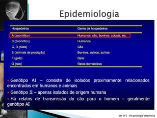 Vet 145 – Parasitologia Veterinária
 
