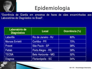 Vet 145 – Parasitologia Veterinária
 