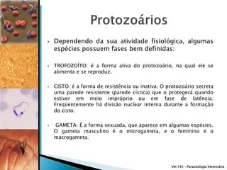    Dependendo da sua atividade fisiológica, algumas
    espécies possuem fases bem definidas:

   TROFOZOÍTO: é a forma ativa do protozoário, na qual ele se
    alimenta e se reproduz.

   CISTO: é a forma de resistência ou inativa. O protozoário secreta
    uma parede resistente (parede cística) que o protegerá quando
    estiver em meio impróprio ou em fase de latência.
    Freqüentemente há divisão nuclear interna durante a formação
    do cisto.

   GAMETA: É a forma sexuada, que aparece em algumas espécies.
    O gameta masculino é o microgameta, e o feminino é o
    macrogameta.




                                                   Vet 145 – Parasitologia Veterinária
 