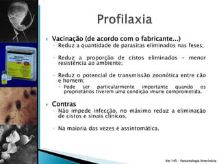    Vacinação (de acordo com o fabricante...)
    ◦ Reduz a quantidade de parasitas eliminados nas feses;

    ◦ Reduz a proporção de cistos eliminados – menor
      resistência ao ambiente;

    ◦ Reduz o potencial de transmissão zoonótica entre cão
      e homem;
       Pode    ser    particularmente  importante  quando   os
        proprietários tiverem uma condição imune comprometida.

   Contras
    ◦ Não impede infecção, no máximo reduz a eliminação
      de cistos e sinais clínicos.

    ◦ Na maioria das vezes é assintomática.




                                               Vet 145 – Parasitologia Veterinária
 