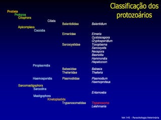 Vet 145 – Parasitologia Veterinária
 
