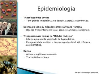    Tripanossomose bovina
    ◦ Tem grande importância na devido as perdas econômicas.

   Doença do sono ou Tripanossomose Africana Humana
    ◦ Doença freqüentemente fatal; acomete animais e o homem.

   Tripanossomose eqüina ou “Mal das cadeiras”
    ◦ Infesta uma ampla variedade de hospedeiros.
    ◦ Patogenicidade variável – doença aguda e fatal até crônica e
       assintomática.

   Durina
    ◦ Acomete eqüinos e asininos.
    ◦ Transmissão venérea.




                                                   Vet 145 – Parasitologia Veterinária
 
