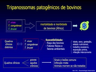 Vet 145 – Parasitologia Veterinária
 