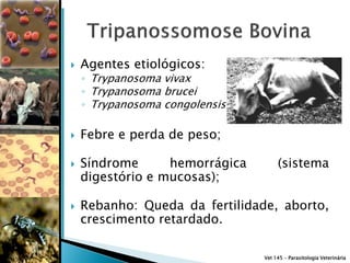   Agentes etiológicos:
    ◦ Trypanosoma vivax
    ◦ Trypanosoma brucei
    ◦ Trypanosoma congolensis

   Febre e perda de peso;

   Síndrome      hemorrágica        (sistema
    digestório e mucosas);

   Rebanho: Queda da fertilidade, aborto,
    crescimento retardado.

                                Vet 145 – Parasitologia Veterinária
 