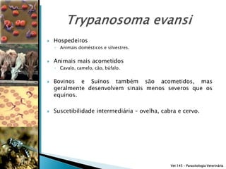    Hospedeiros
    ◦ Animais domésticos e silvestres.


   Animais mais acometidos
    ◦ Cavalo, camelo, cão, búfalo.


   Bovinos e Suínos também são acometidos, mas
    geralmente desenvolvem sinais menos severos que os
    equinos.

   Suscetibilidade intermediária – ovelha, cabra e cervo.




                                               Vet 145 – Parasitologia Veterinária
 