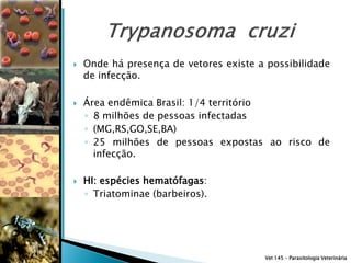    Onde há presença de vetores existe a possibilidade
    de infecção.

   Área endêmica Brasil: 1/4 território
    ◦ 8 milhões de pessoas infectadas
    ◦ (MG,RS,GO,SE,BA)
    ◦ 25 milhões de pessoas expostas ao risco de
      infecção.

   HI: espécies hematófagas:
    ◦ Triatominae (barbeiros).




                                        Vet 145 – Parasitologia Veterinária
 