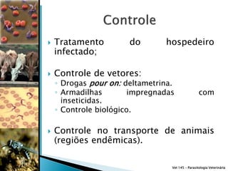    Tratamento         do       hospedeiro
    infectado;

   Controle de vetores:
    ◦ Drogas pour on: deltametrina.
    ◦ Armadilhas        impregnadas                com
      inseticidas.
    ◦ Controle biológico.

   Controle no transporte de animais
    (regiões endêmicas).

                                  Vet 145 – Parasitologia Veterinária
 