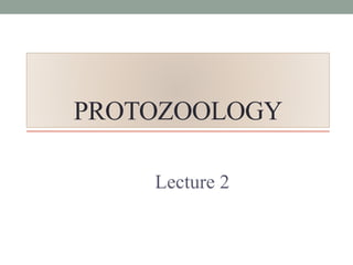 PROTOZOOLOGY
Lecture 2
 