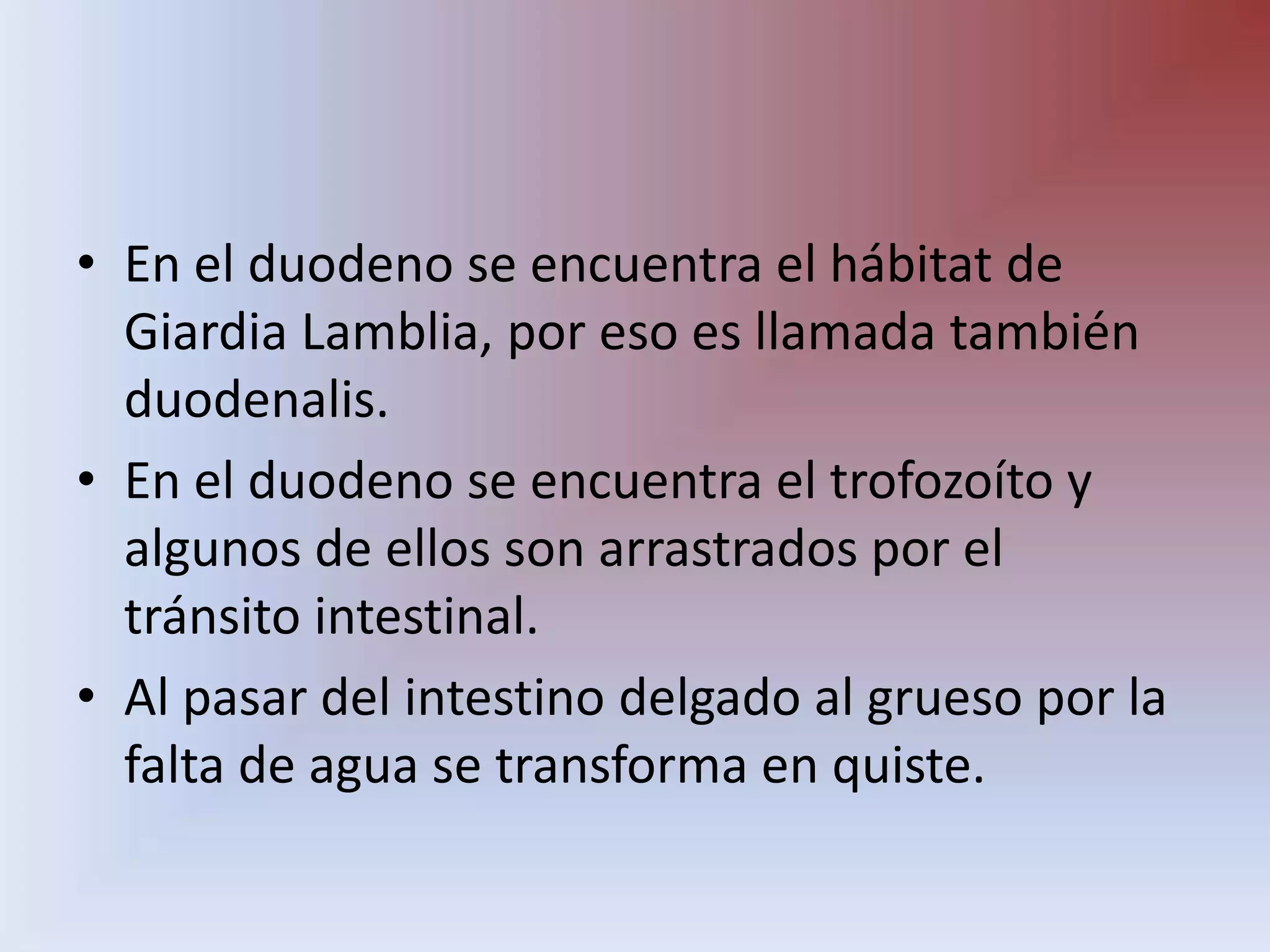En el duodeno se encuentra el hábitat de Giardia Lamblia, por eso es llamada también duodenalis.En el duodeno se encuentra el trofozoíto y algunos de ellos son arrastrados por el tránsito intestinal.Al pasar del intestino delgado al grueso por la falta de agua se transforma en quiste.