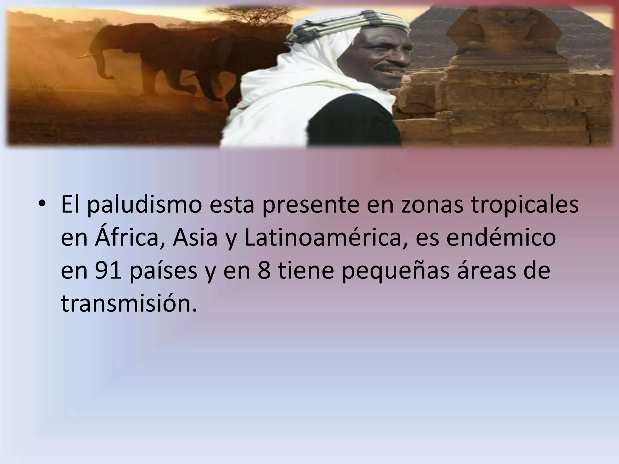 El paludismo esta presente en zonas tropicales en África, Asia y Latinoamérica, es endémico en 91 países y en 8 tiene pequeñas áreas de transmisión.