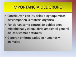 IMPORTANCIA DEL GRUPO.Contribuyen con los ciclos biogeoquimicos, descomponen la materia orgánica.Funcionan como control de poblaciones microbianas y el equilibrio ambiental general de los sistemas naturales.Generan enfermedades en humanos y animales.