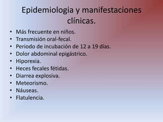 Epidemiologia y manifestaciones clínicas.Más frecuente en niños.Transmisión oral-fecal.Periodo de incubación de 12 a 19 días.Dolor abdominal epigástrico.Hiporexia.Heces fecales fétidas.Diarrea explosiva.Meteorismo.Náuseas.Flatulencia.