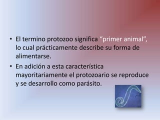 El termino protozoo significa “primer animal”, lo cual prácticamente describe su forma de alimentarse.,[object Object],En adición a esta característica mayoritariamente el protozoario se reproduce y se desarrollo como parásito.,[object Object]