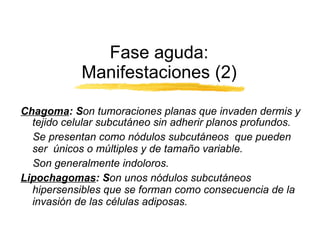 Chagoma : S on tumoraciones planas que invaden dermis y tejido celular subcutáneo sin adherir planos profundos. Se presentan como nódulos subcutáneos  que pueden ser  únicos o múltiples y de tamaño variable. Son generalmente indoloros. Lipochagomas : S on unos nódulos subcutáneos hipersensibles que se forman como consecuencia de la invasión de las células adiposas. Fase aguda: Manifestaciones (2) 