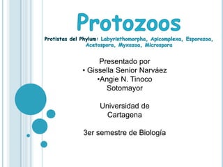 Presentado por
• Gissella Senior Narváez
•Angie N. Tinoco
Sotomayor
Universidad de
Cartagena
3er semestre de Biología
 