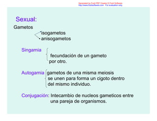 Sexual:
Gametos
isogametos
anisogametos
Singamia
fecundación de un gameto
por otro.
Autogamia gametos de una misma meiosis
se unen para forma un cigoto dentro
del mismo individuo.
Conjugación: Intecambio de nucleos gameticos entre
una pareja de organismos.
Generated by Foxit PDF Creator © Foxit Software
http://www.foxitsoftware.com For evaluation only.
 