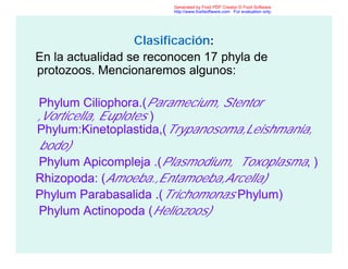 Clasificación:
En la actualidad se reconocen 17 phyla de
protozoos. Mencionaremos algunos:
Phylum Ciliophora.(Paramecium, Stentor
,Vorticella, Euplotes )
Phylum:Kinetoplastida,(Trypanosoma,Leishmania,
bodo)
Phylum Apicompleja .(Plasmodium, Toxoplasma, )
Rhizopoda: (Amoeba.,Entamoeba,Arcella)
Phylum Parabasalida .(Trichomonas Phylum)
Phylum Actinopoda (Heliozoos)
Generated by Foxit PDF Creator © Foxit Software
http://www.foxitsoftware.com For evaluation only.
 