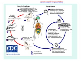 Generated by Foxit PDF Creator © Foxit Software
http://www.foxitsoftware.com For evaluation only.
 
