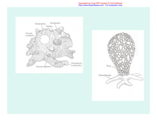 Generated by Foxit PDF Creator © Foxit Software
http://www.foxitsoftware.com For evaluation only.
 