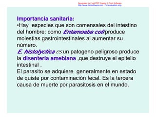 Importancia sanitaria:Importancia sanitaria:
••Hay especies que son comensales del intestinoHay especies que son comensales del intestino
del hombre: comodel hombre: como EntamoebaEntamoeba colicoli produceproduce
molestias gastrointestinales al aumentar sumolestias gastrointestinales al aumentar su
nnúúmero.mero.
E.E. histolycticahistolyctica eses unun patogenopatogeno peligroso producepeligroso produce
lala disenteriadisenteria amebianaamebiana ,que destruye el epitelio,que destruye el epitelio
intestinal .intestinal .
El parasito se adquiere generalmente en estadoEl parasito se adquiere generalmente en estado
de quiste por contaminacide quiste por contaminacióón fecal. Es la terceran fecal. Es la tercera
causa de muerte porcausa de muerte por parasitosisparasitosis en el mundo.en el mundo.
Generated by Foxit PDF Creator © Foxit Software
http://www.foxitsoftware.com For evaluation only.
 