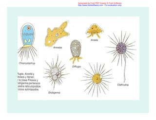 Generated by Foxit PDF Creator © Foxit Software
http://www.foxitsoftware.com For evaluation only.
 