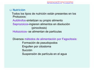 ü Nutrición
Todos los tipos de nutrición están presentes en los
Protozoos:
Autótrofos-sintetizan su propio alimento
Saprozoicos-ingieren alimentos en disolución
(pinocitosis)
Holozoicos- se alimentan de partículas
Diversos métodos de alimentación por Fagocitosis:
Formación de pseudopodos
Engullen por citostoma
Succión
Suspensión de partícula en el agua
Generated by Foxit PDF Creator © Foxit Software
http://www.foxitsoftware.com For evaluation only.
 