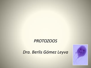 PROTOZOOS
Dra. Berlis Gómez Leyva
 