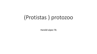 (Protistas ) protozoo
Harold López 7b
 