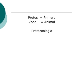 Protozoos2012
