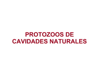 PROTOZOOS DE
CAVIDADES NATURALES
 