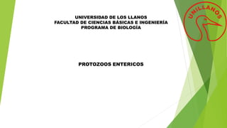 UNIVERSIDAD DE LOS LLANOS
FACULTAD DE CIENCIAS BÁSICAS E INGENIERÍA
PROGRAMA DE BIOLOGÍA
PROTOZOOS ENTERICOS
 