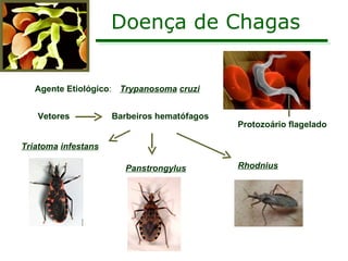 Doença de Chagas Agente Etiológico : Trypanosoma   cruzi Vetores Triatoma   infestans Panstrongylus Rhodnius Protozoário flagelado Barbeiros hematófagos 